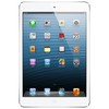 Apple iPad mini 16Gb Wi-Fi + Cellular белый - Кунгур