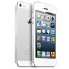 Apple iPhone 5 64Gb white - Кунгур